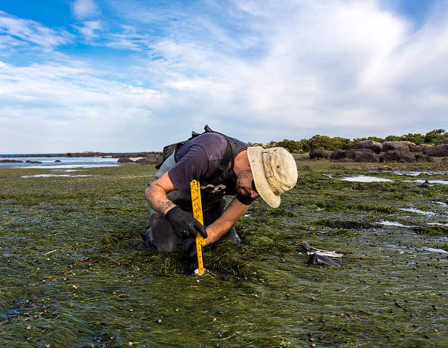 Water Quality Assessment